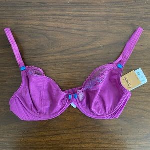 NWT Chantelle lace Balconette purple and blue bra 30D